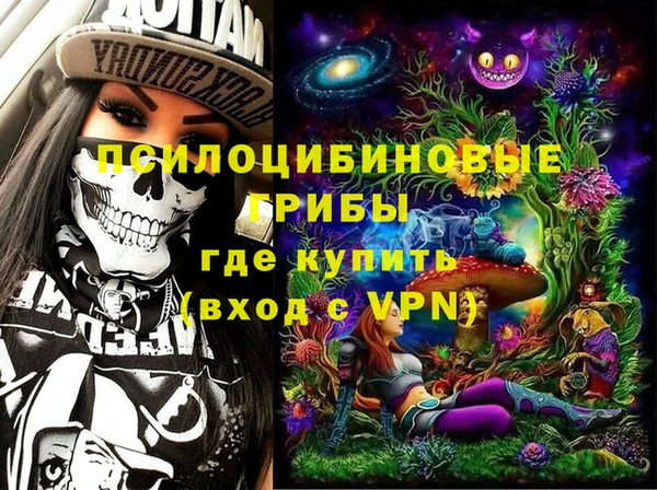 мдпв Арсеньев