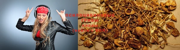мдпв Арсеньев